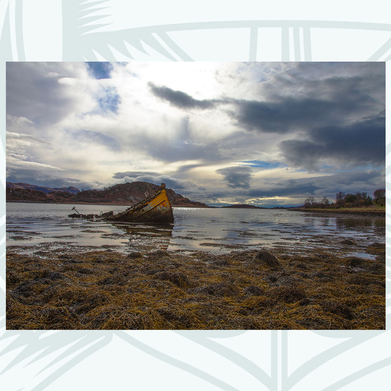 Ardfern - Photographic Print - Amy Davidson