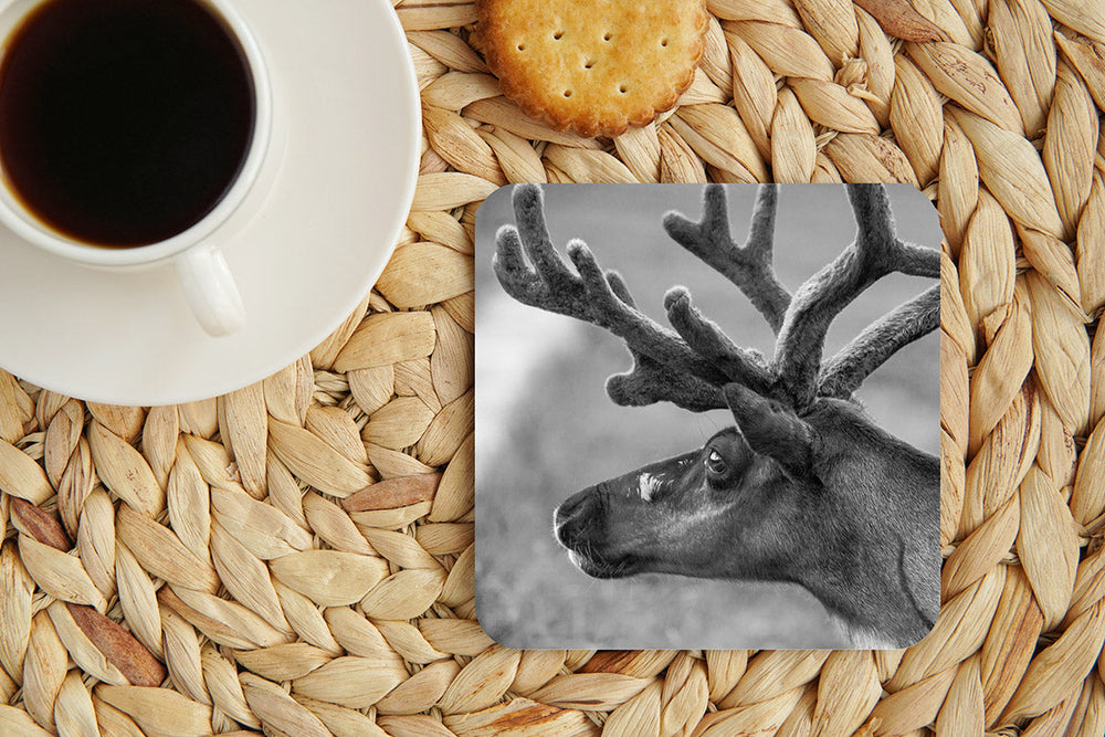 Dalmore - Coaster